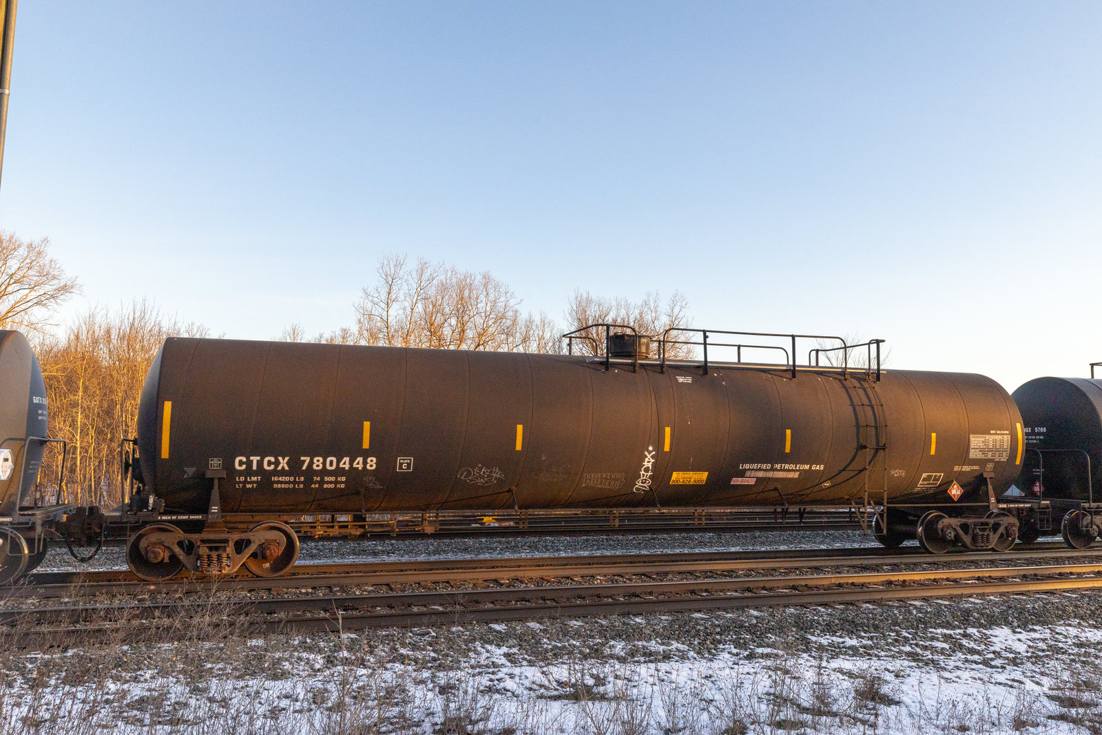 CTCX 780448