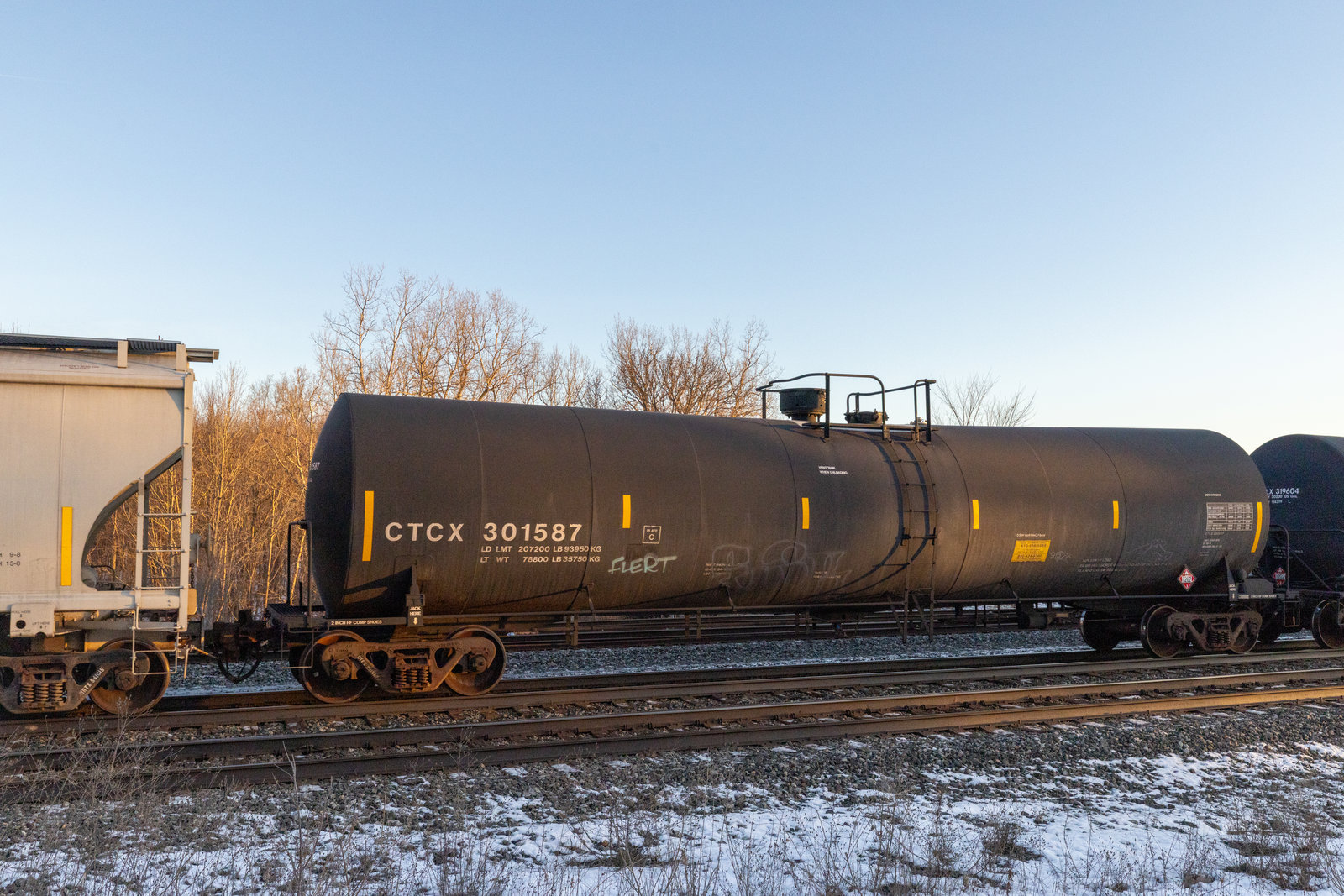 CTCX 301587