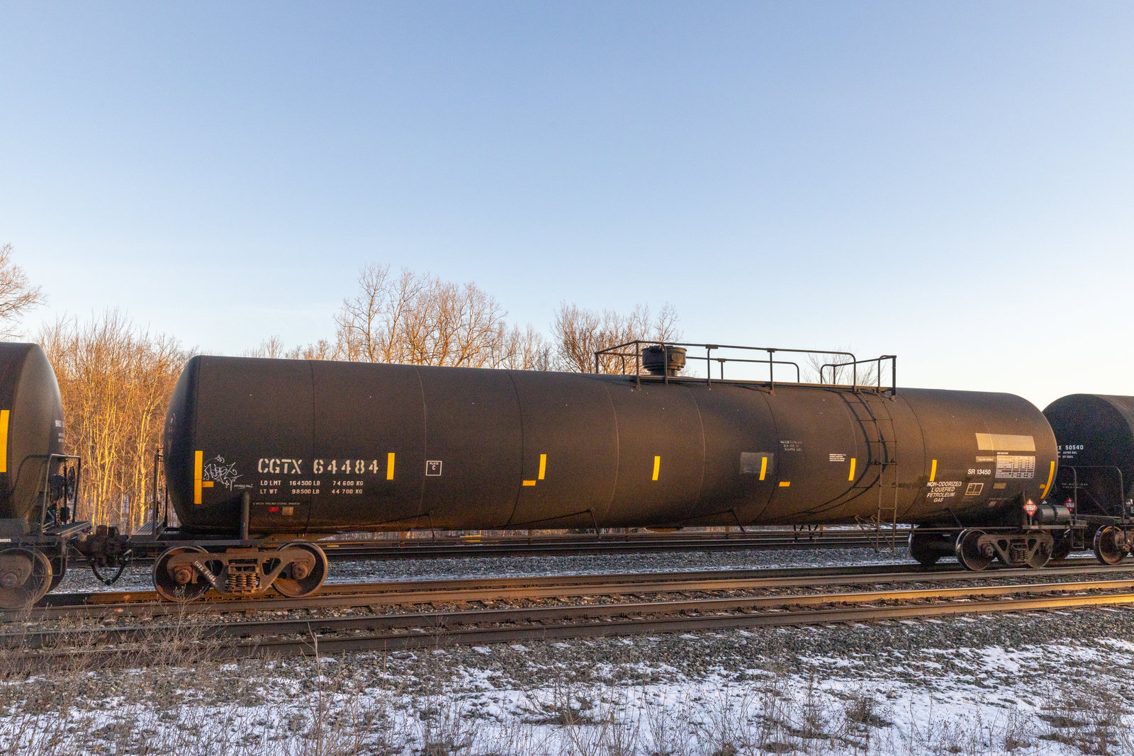 CGTX 64484
