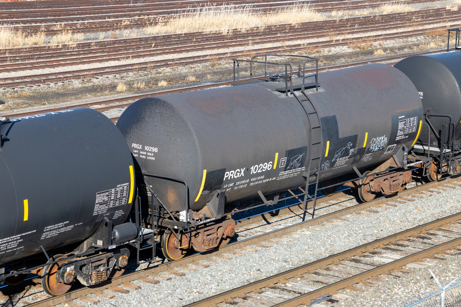 PRGX 10296