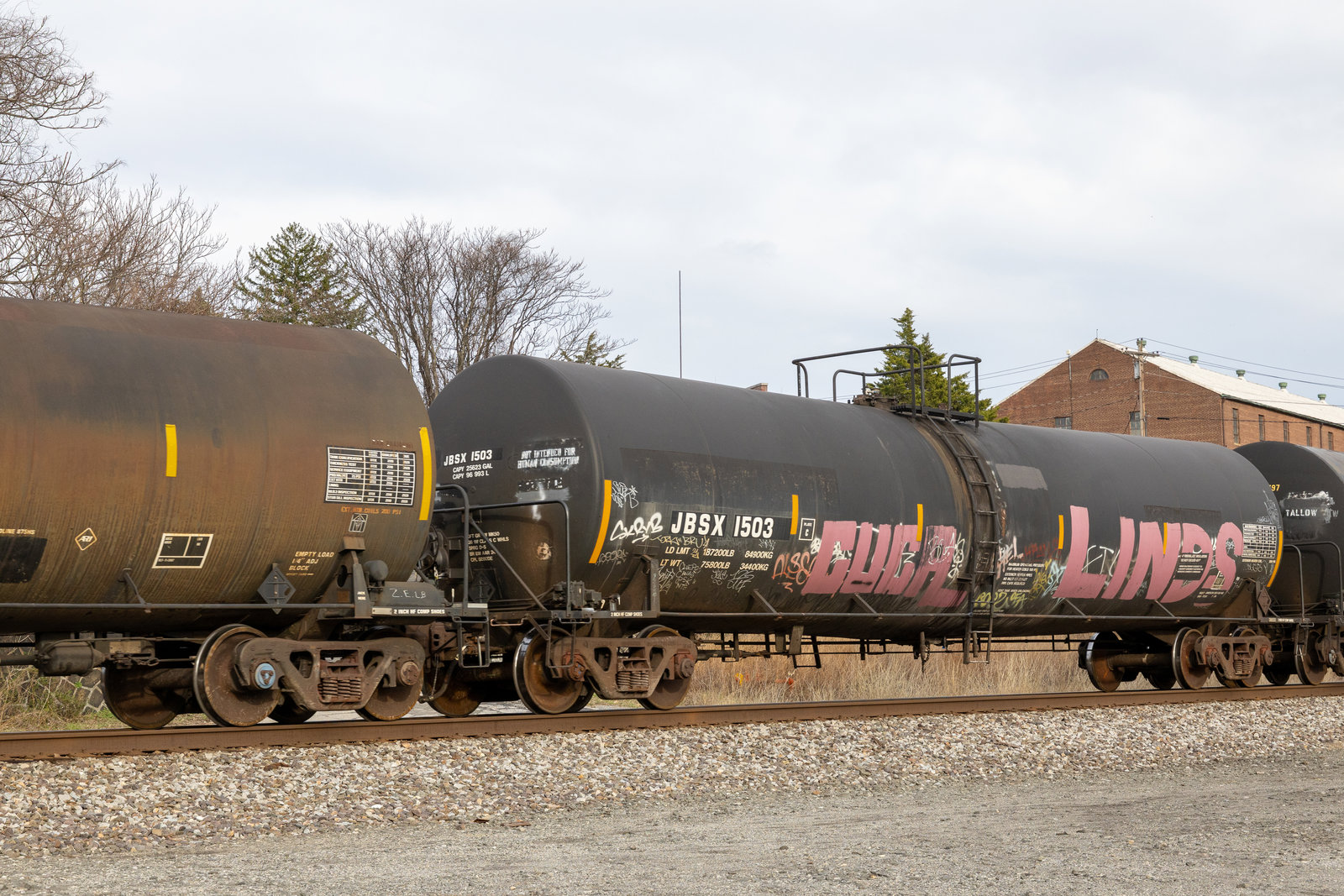 JBSX 1503
