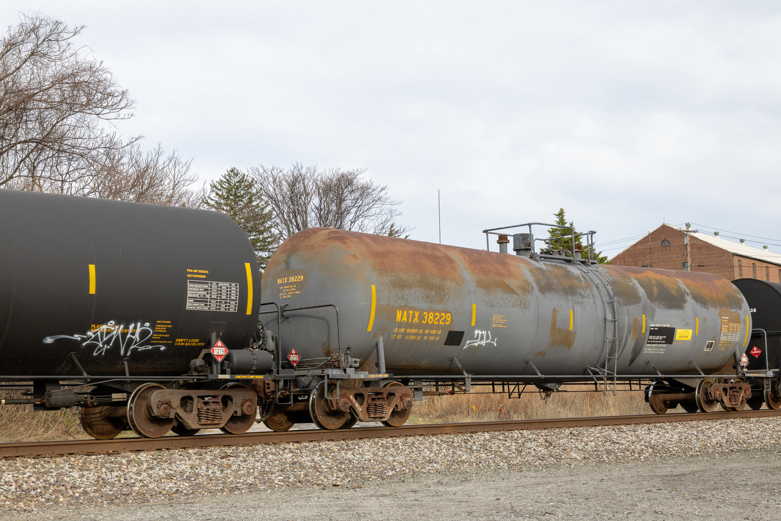 NATX 38229