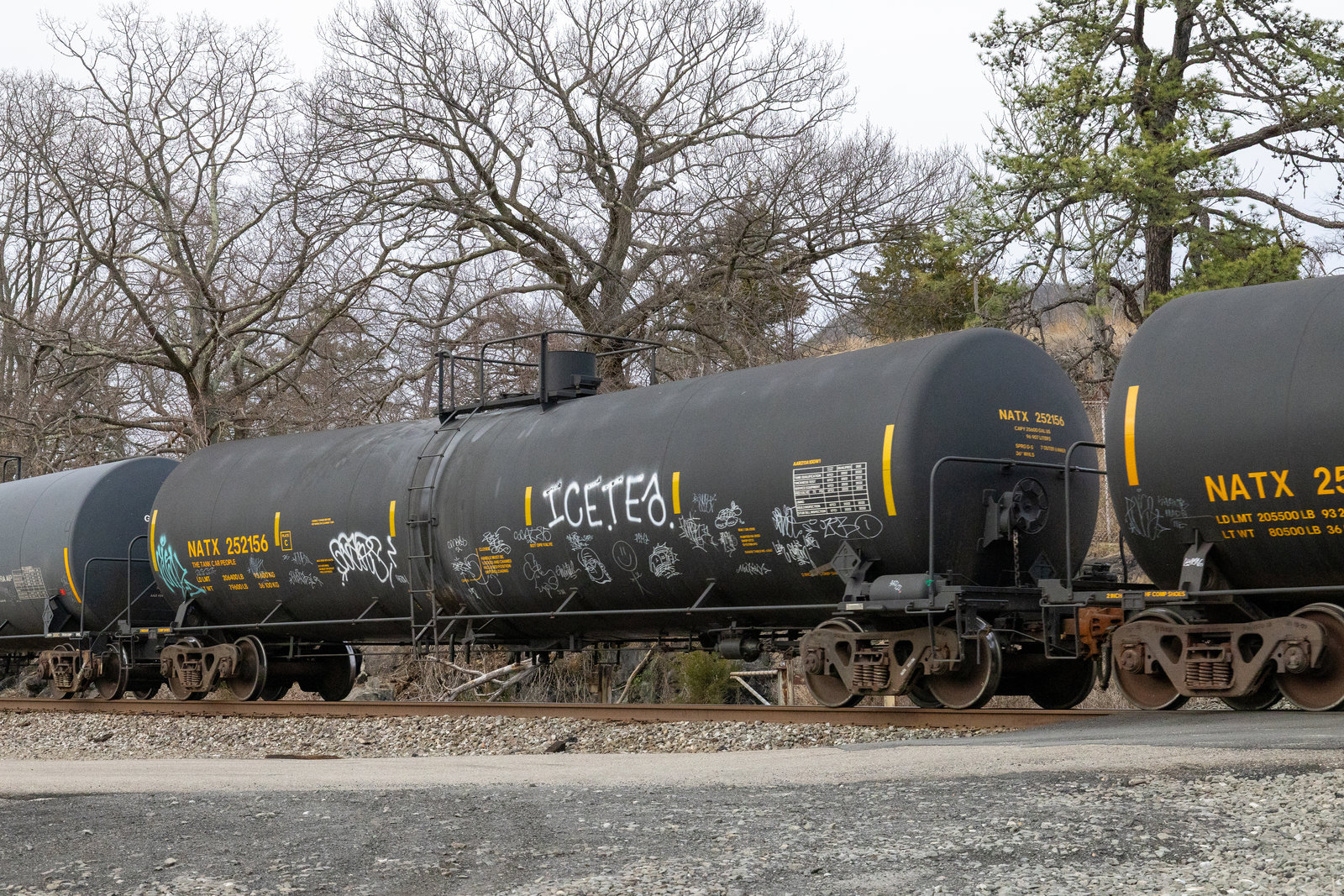 NATX 252156