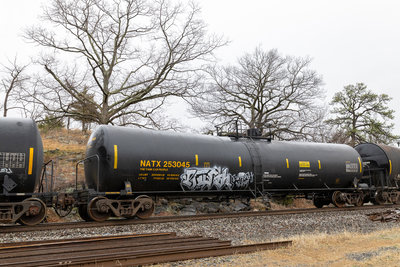 NATX 253045
