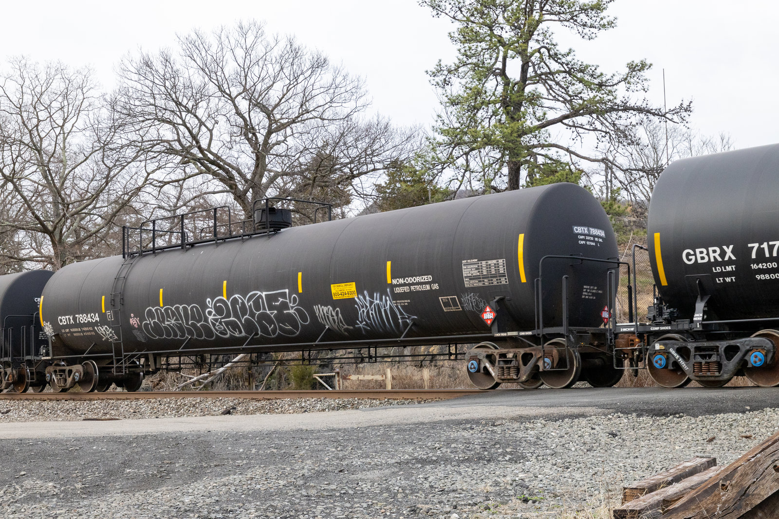 CBTX 788434