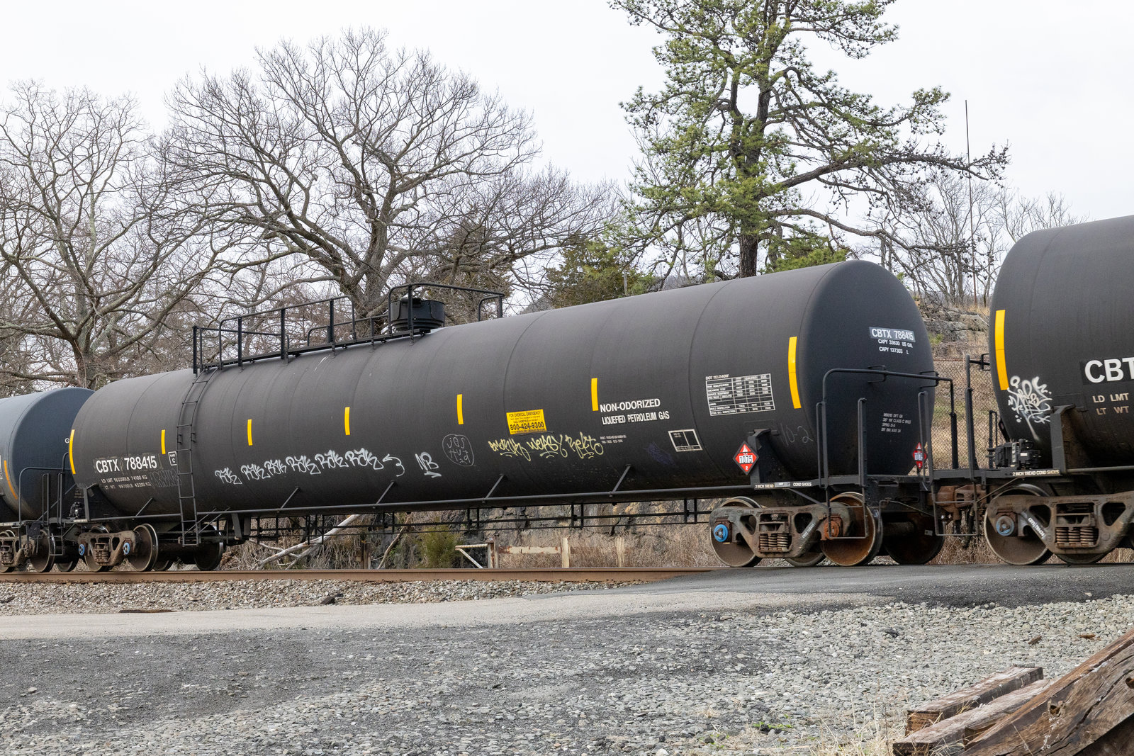 CBTX 788415