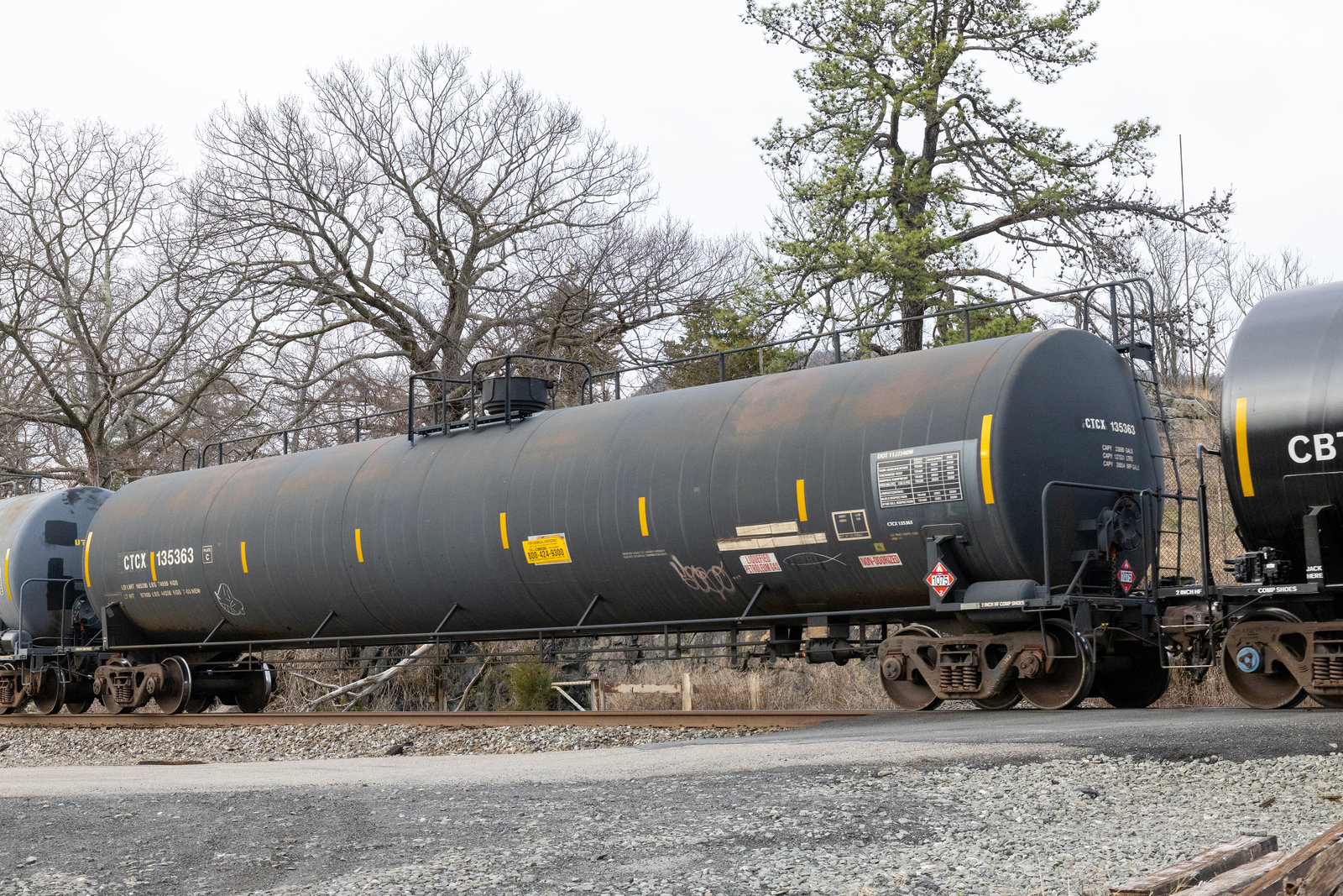 CTCX 135363