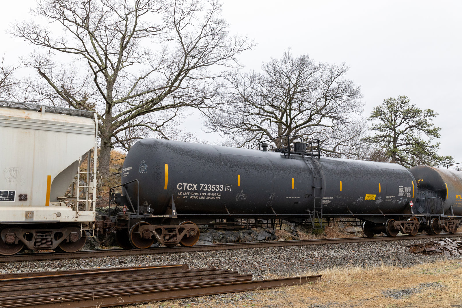CTCX 733533