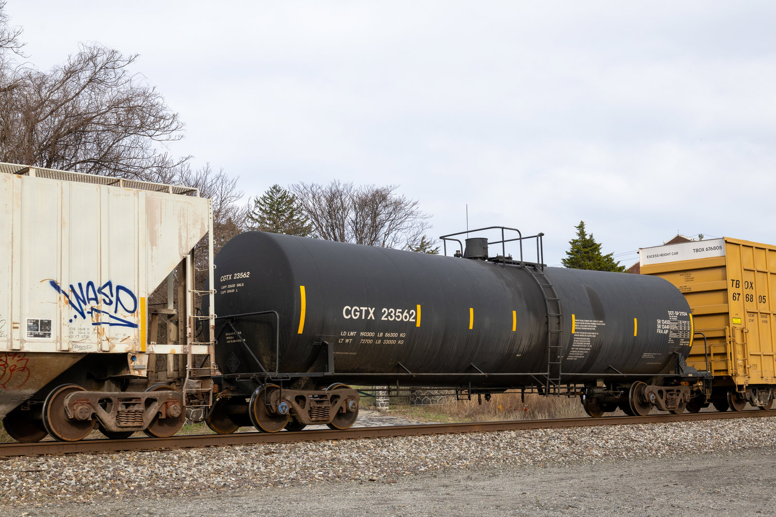 CGTX 23562