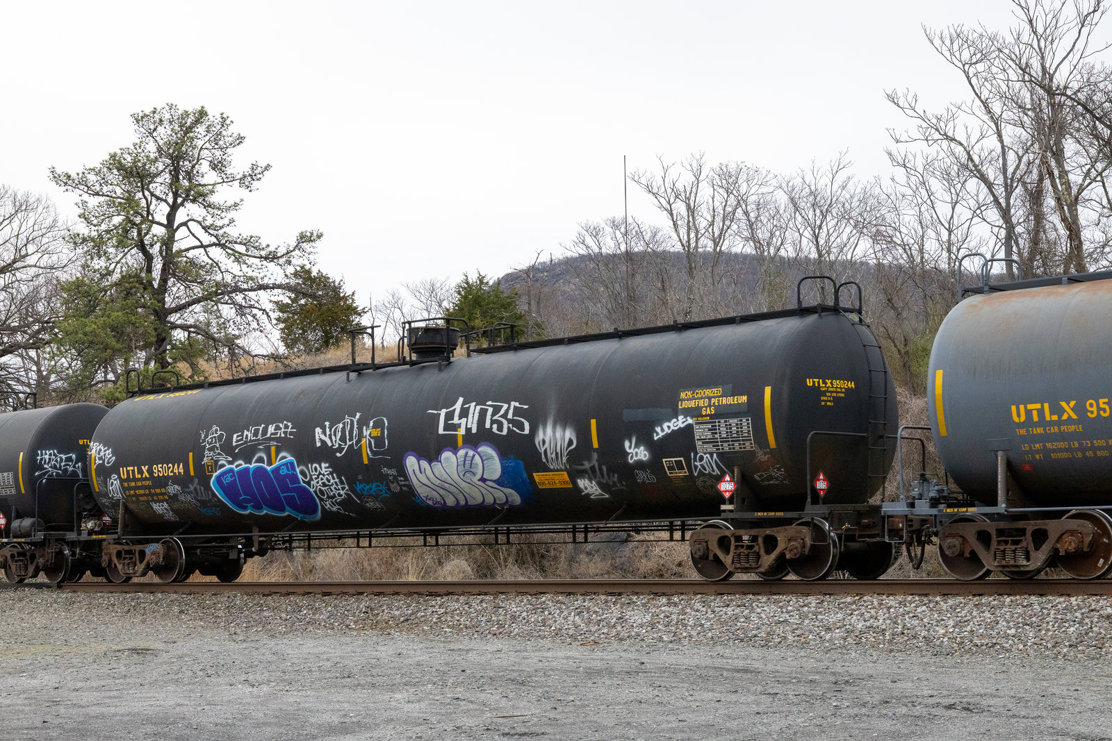 UTLX 950244