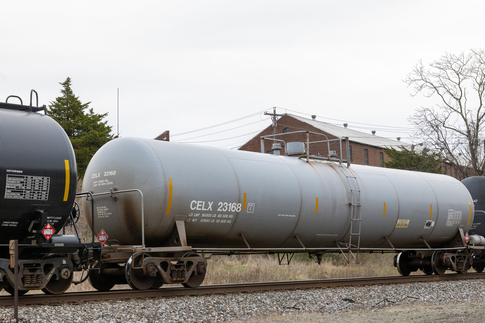 CELX 23168
