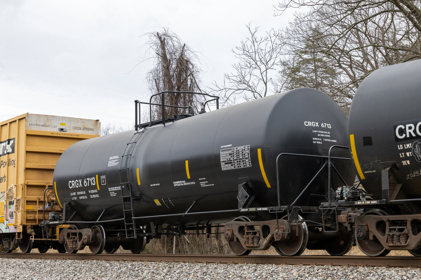 CRGX 6713