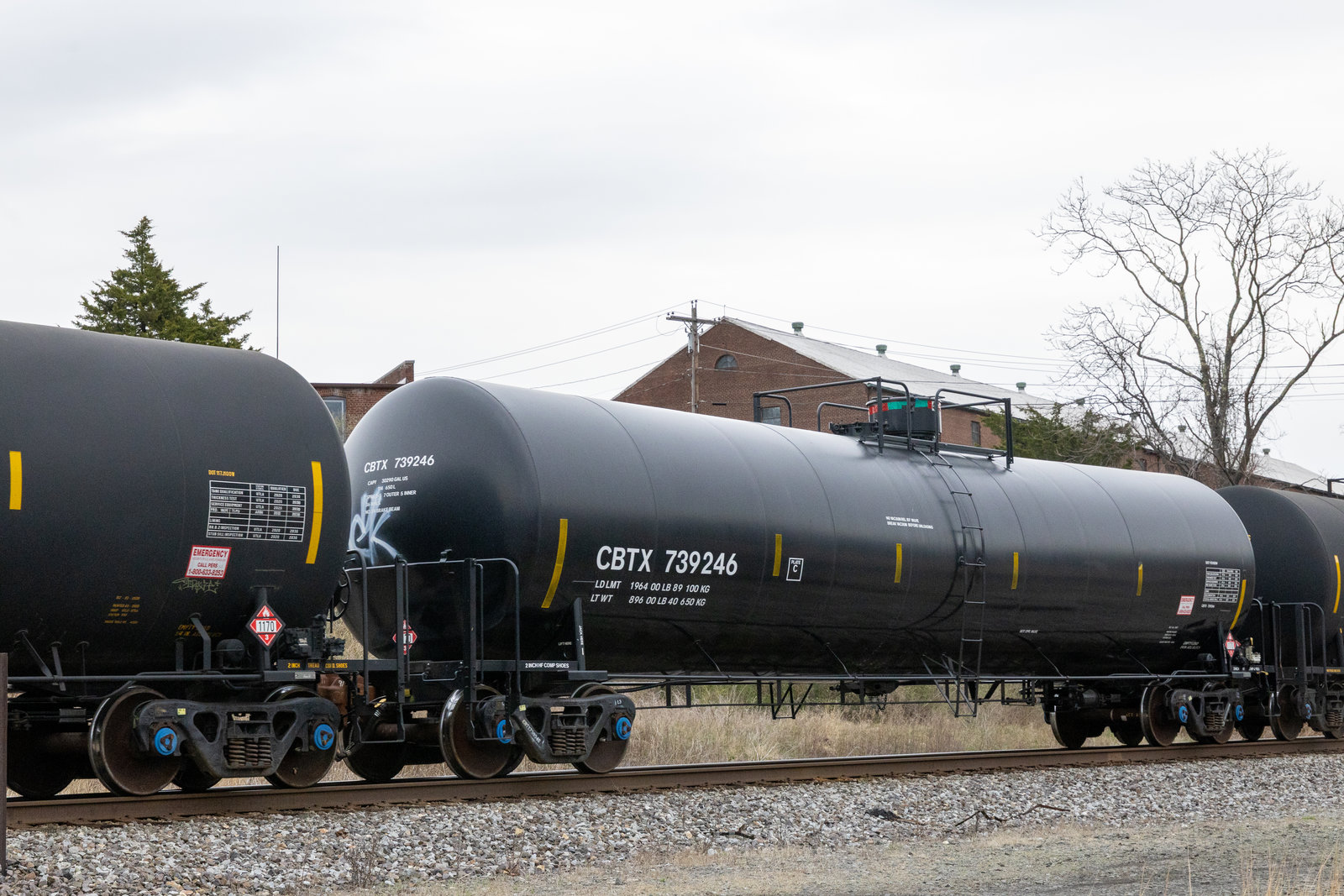 CBTX 739246