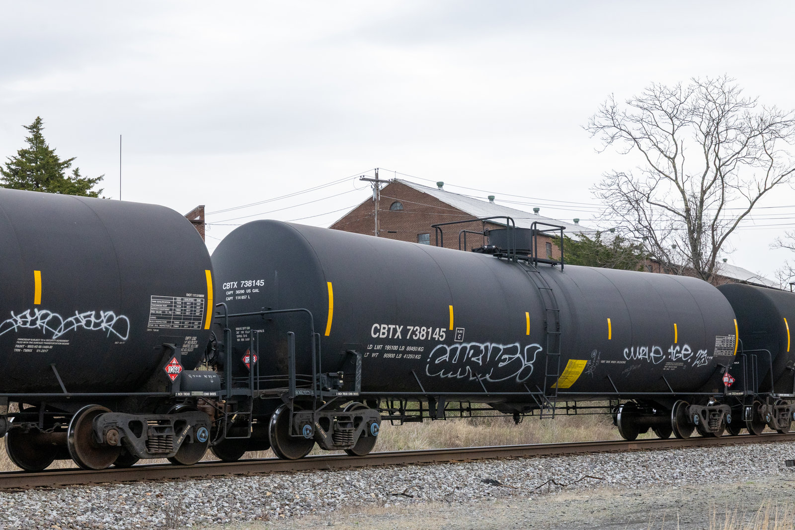 CBTX 738145