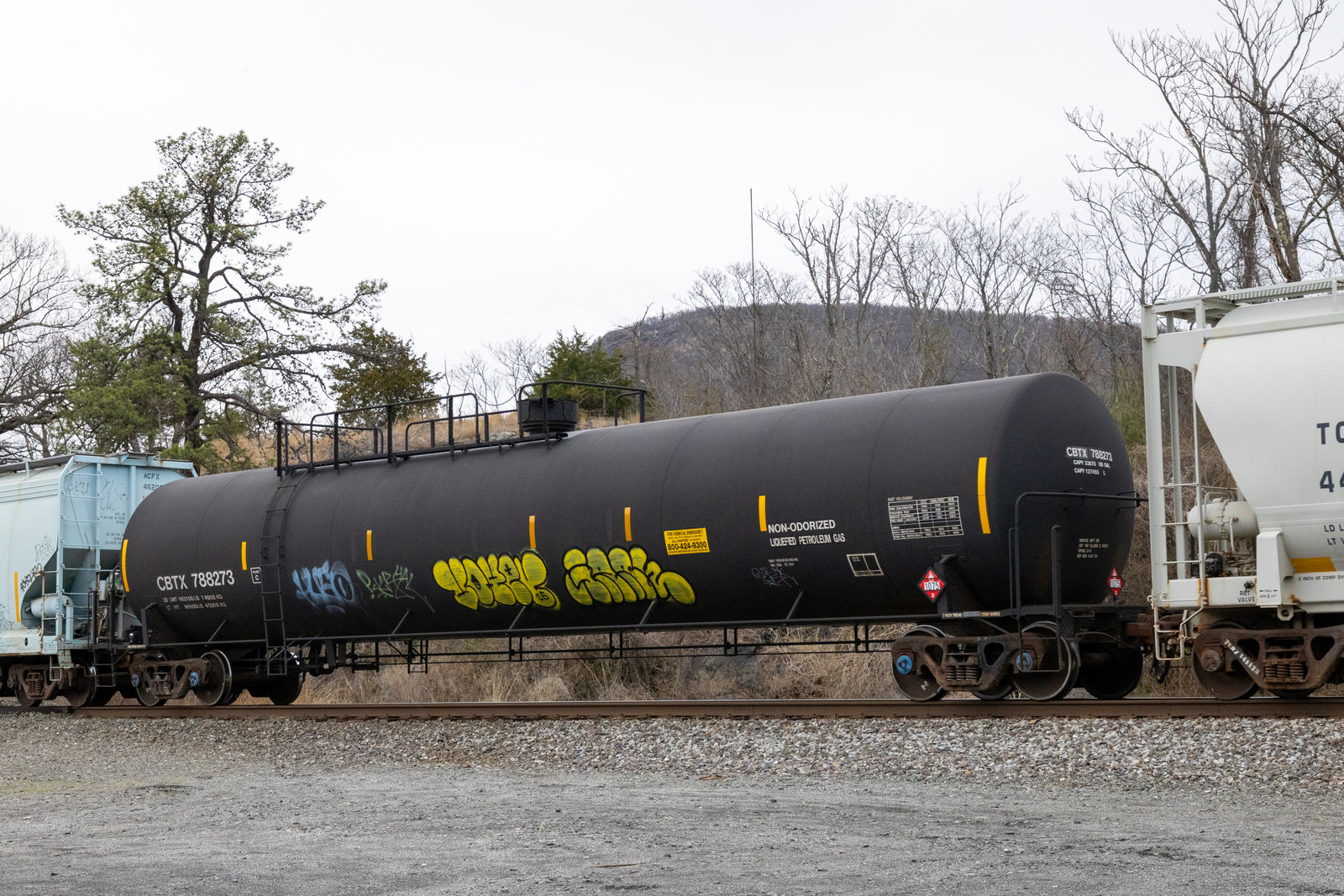 CBTX 788273