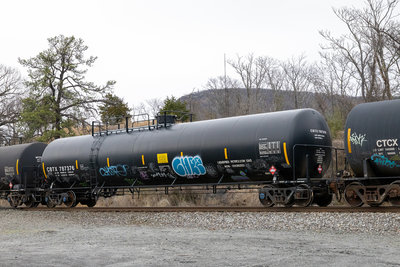 CBTX 787376