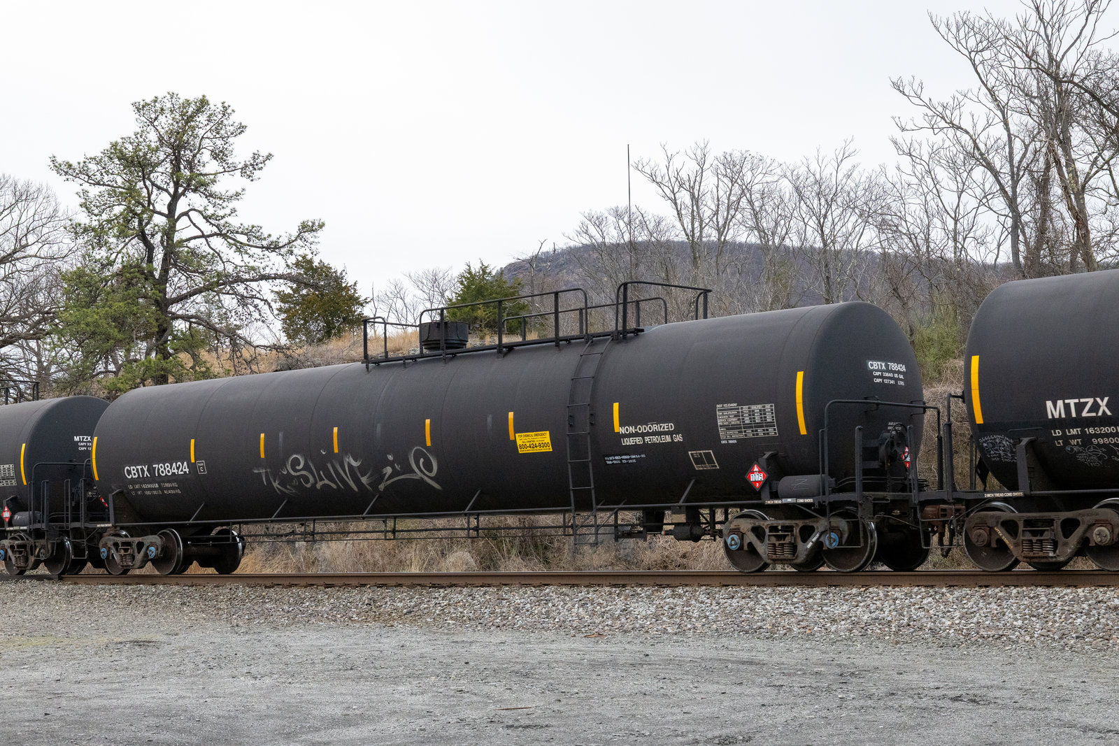 CBTX 788424
