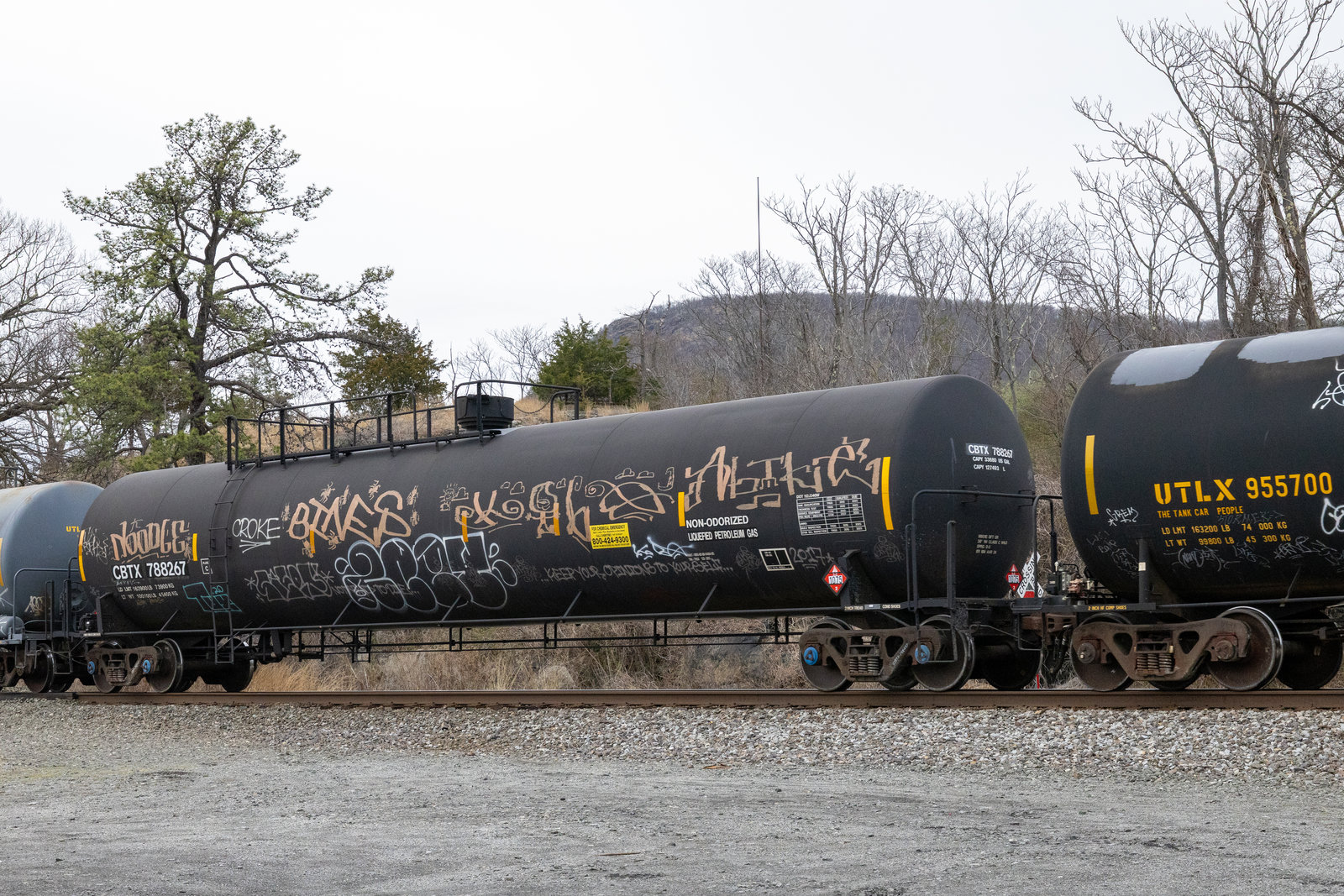 CBTX 788267
