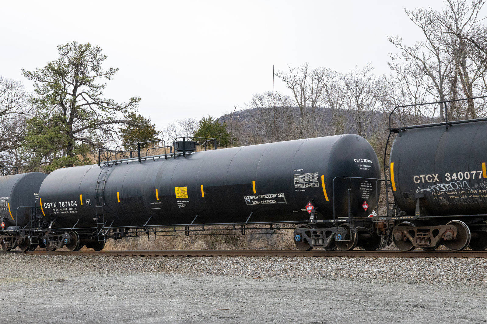 CBTX 787404