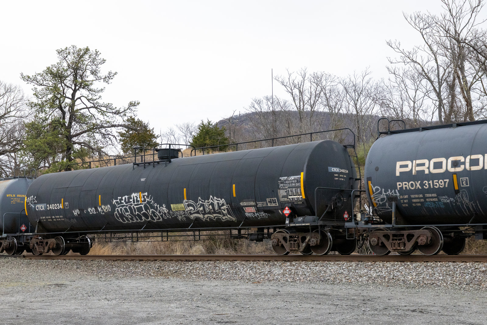 CTCX 340234