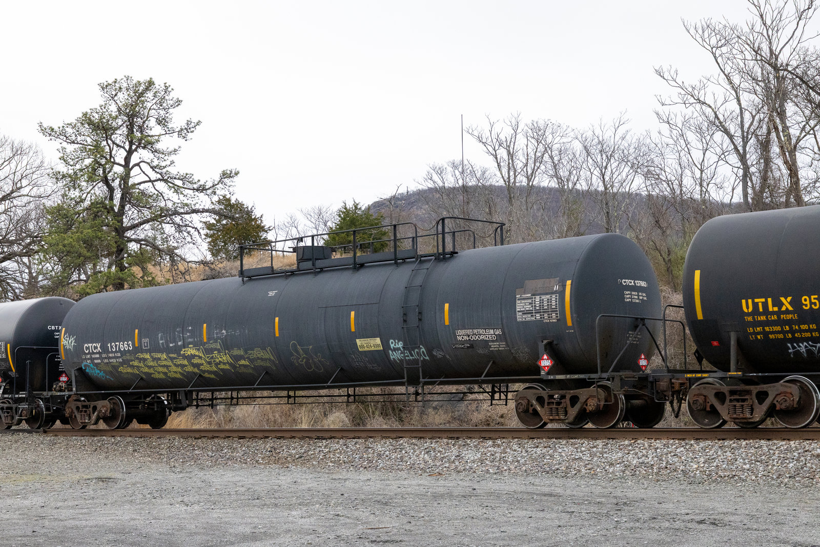 CTCX 137663