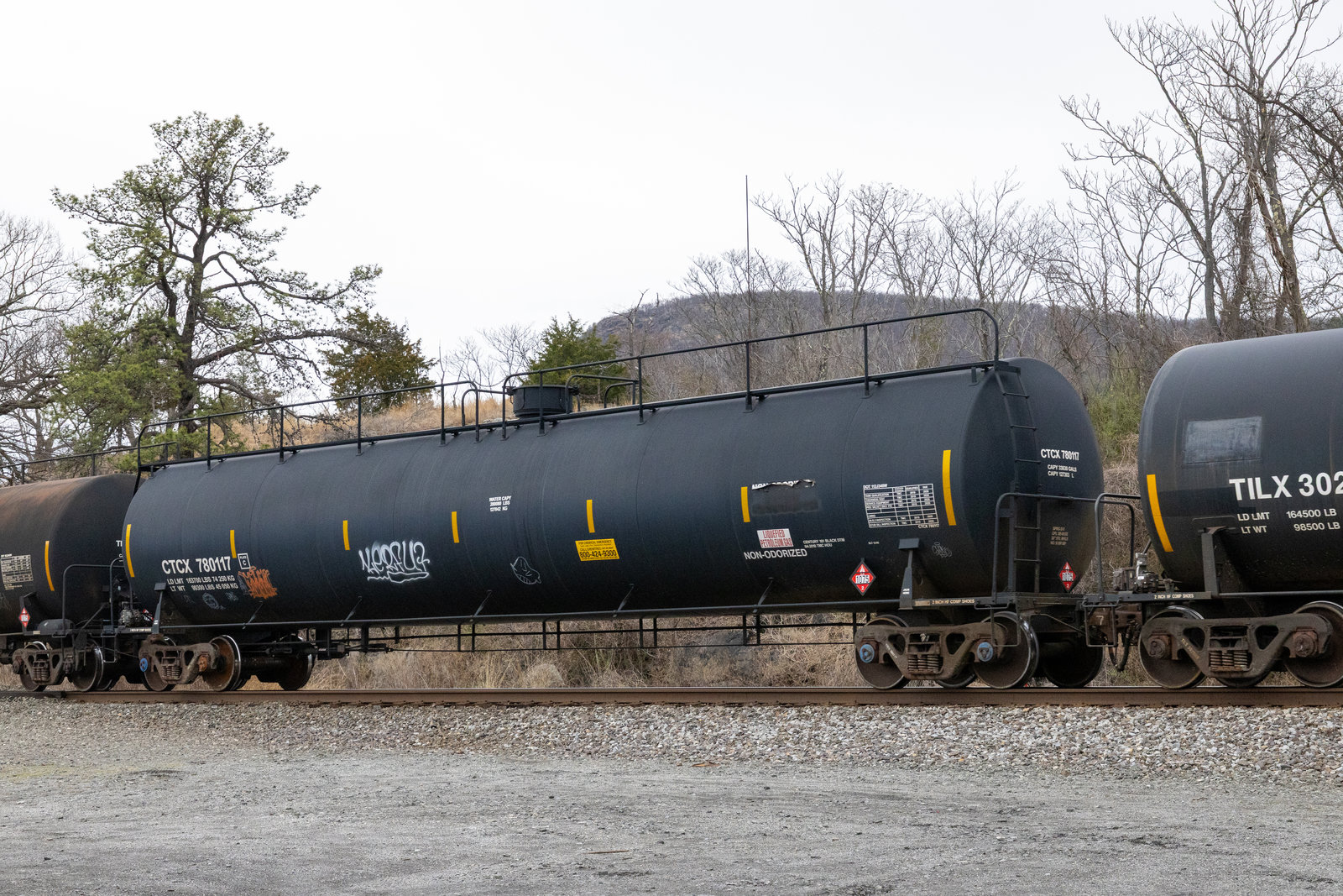 CTCX 780117