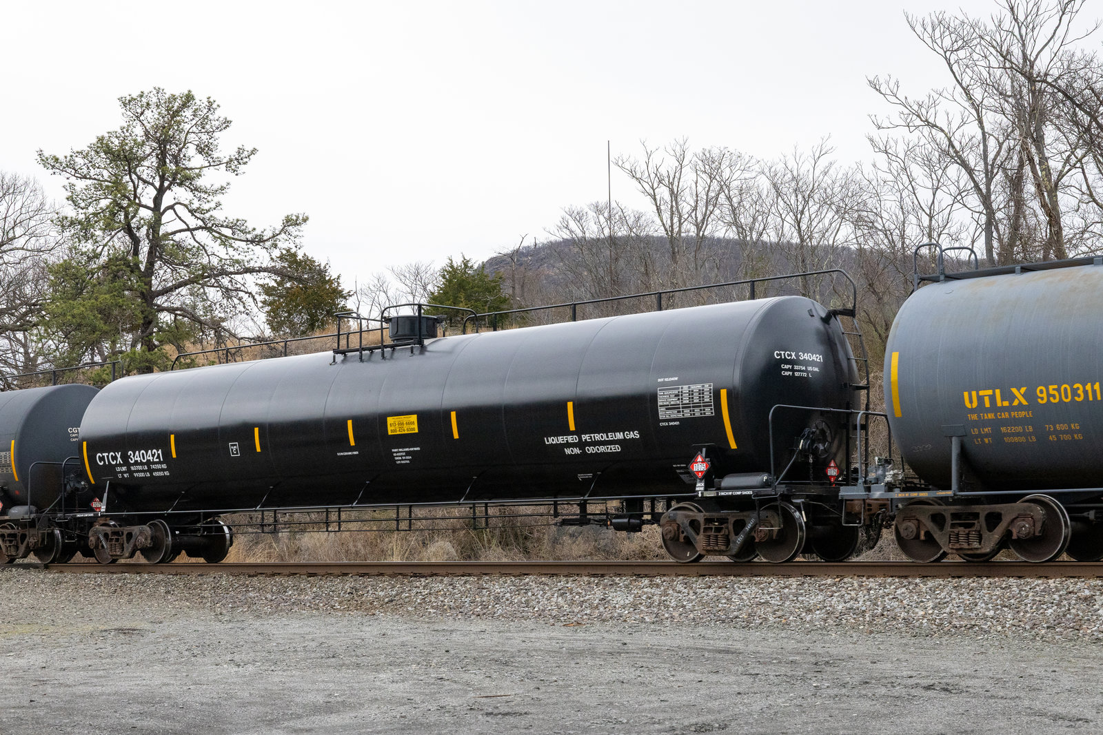 CTCX 340421