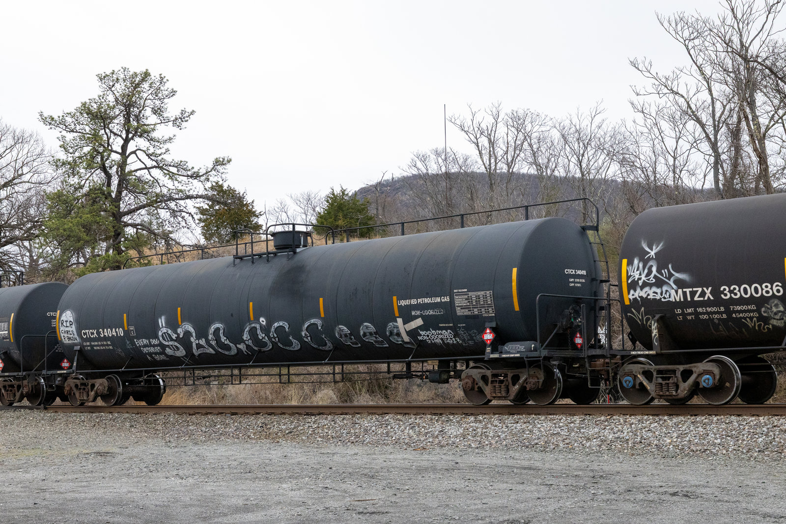 CTCX 340410