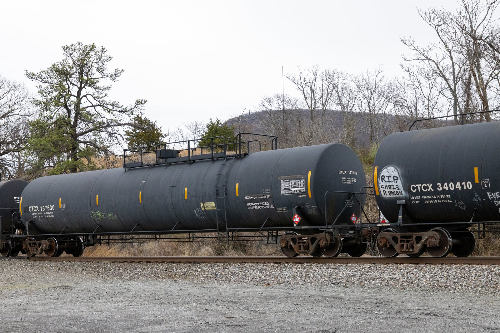 CTCX 137630