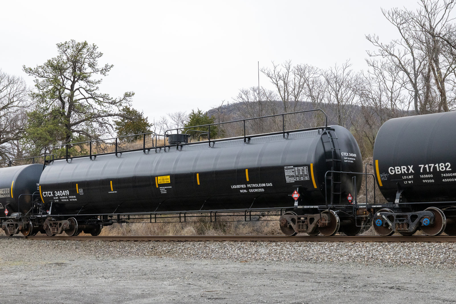 CTCX 340419