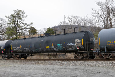 CTCX 340077