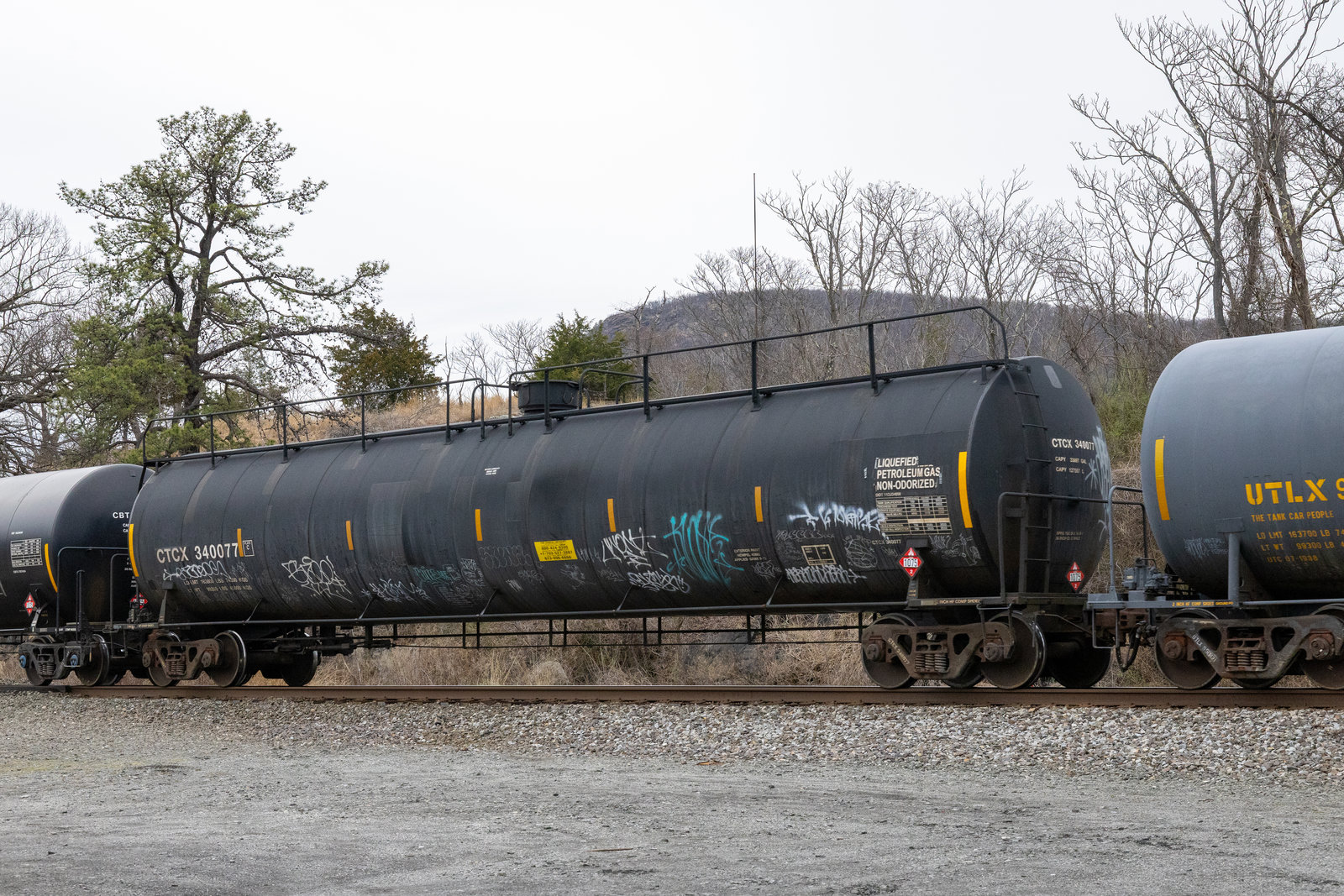 CTCX 340077
