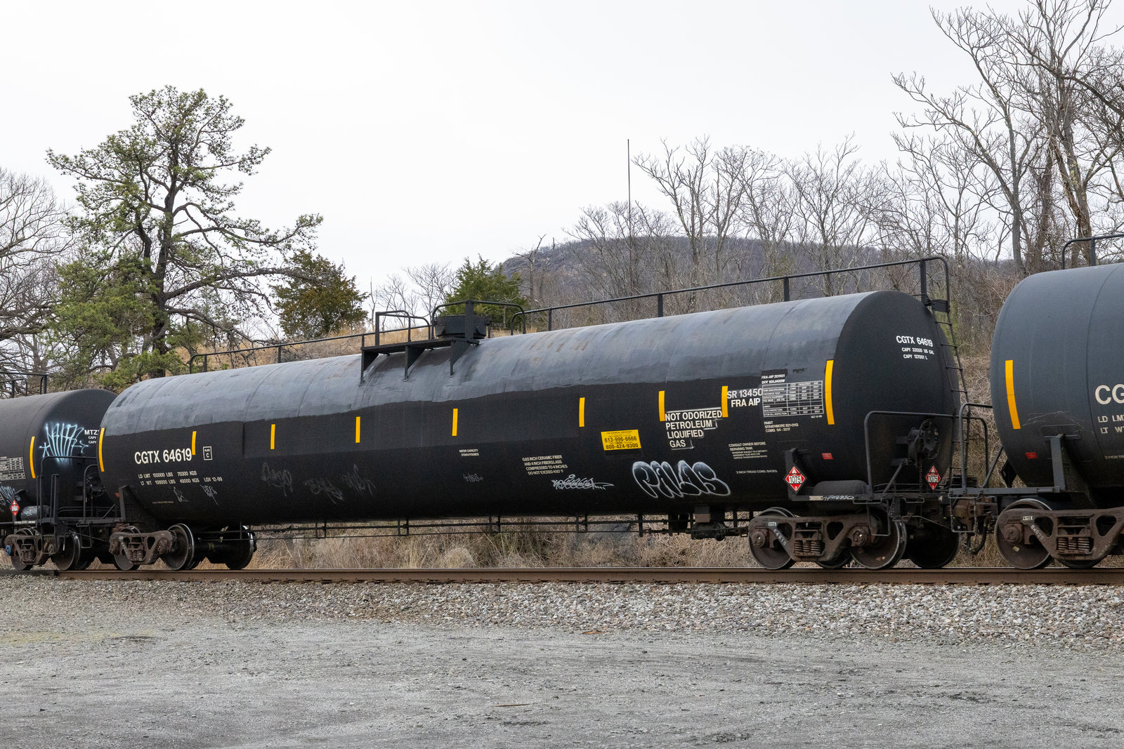 CGTX 64619