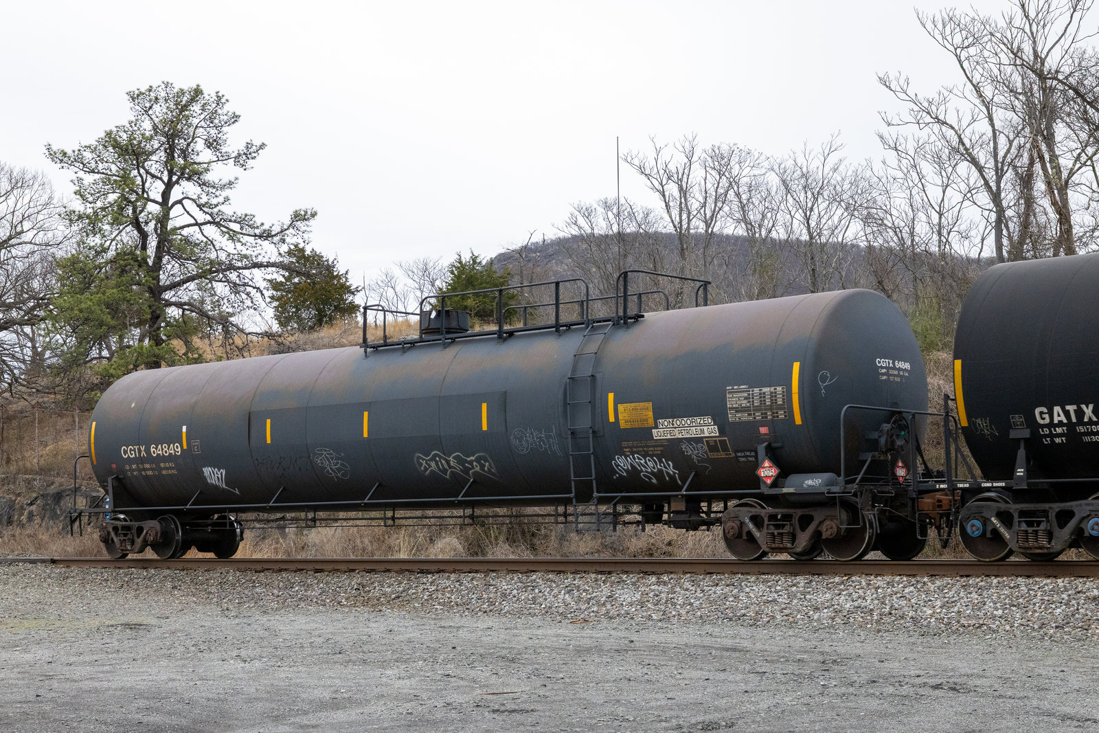 CGTX 64849