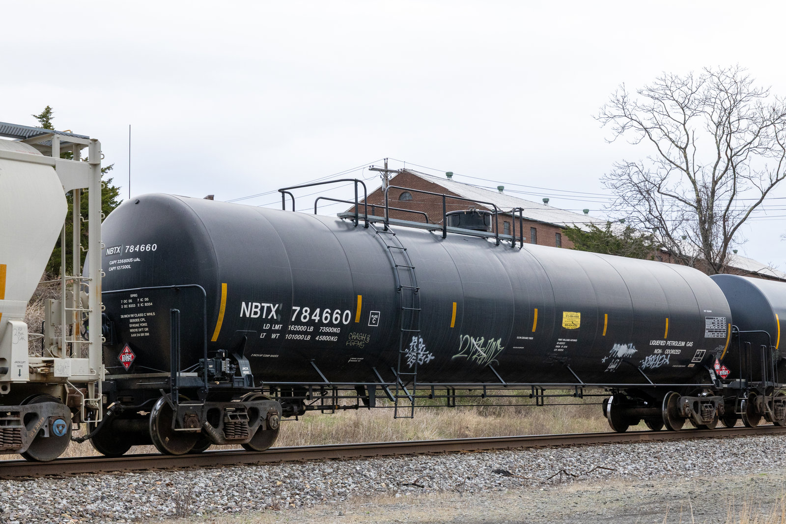 NBTX 784660