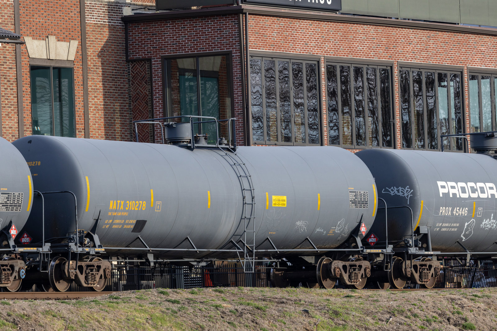 NATX 310278