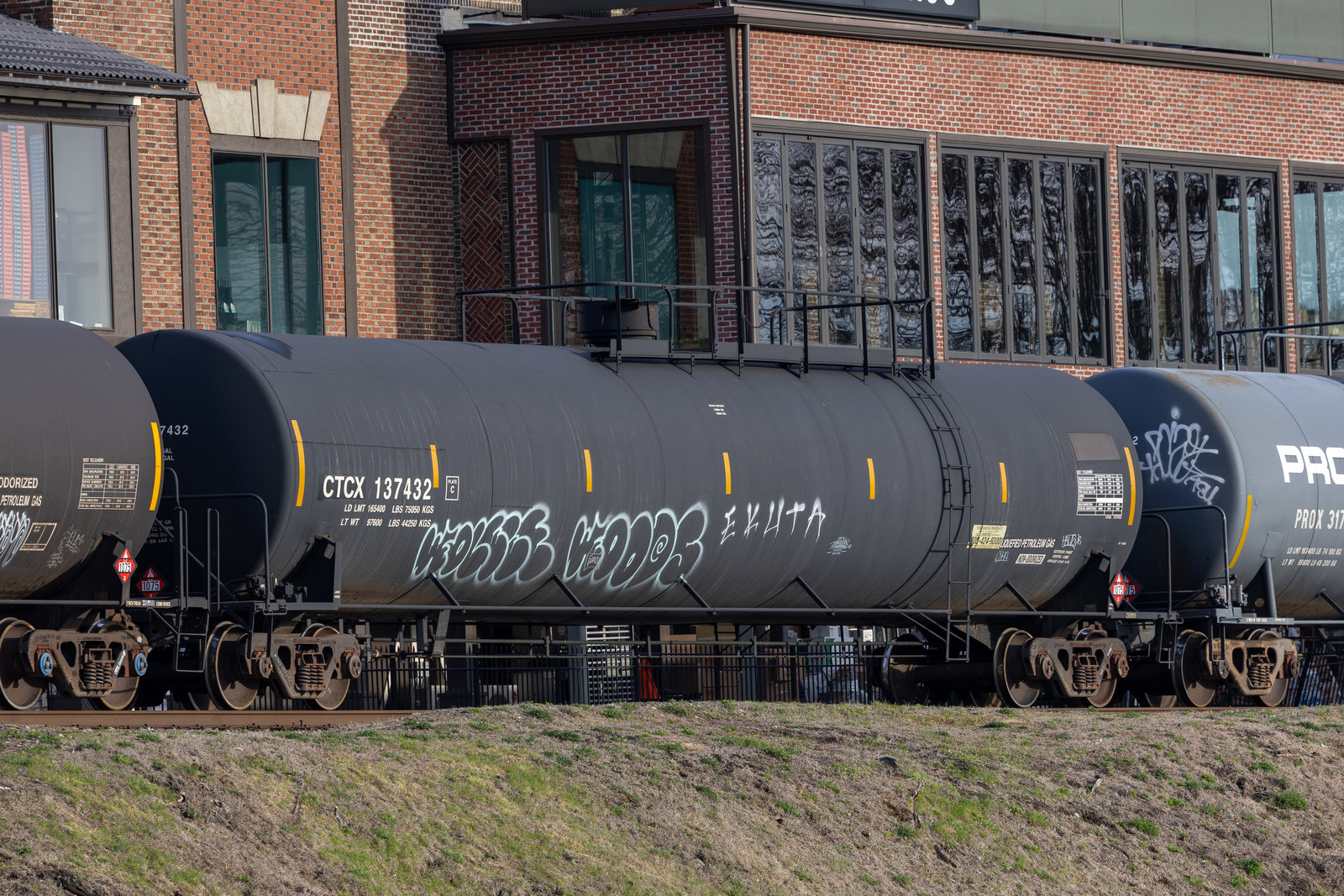 CTCX 137432