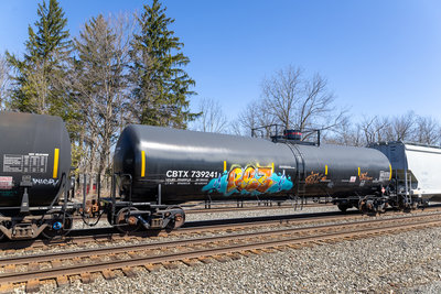 CBTX 739241