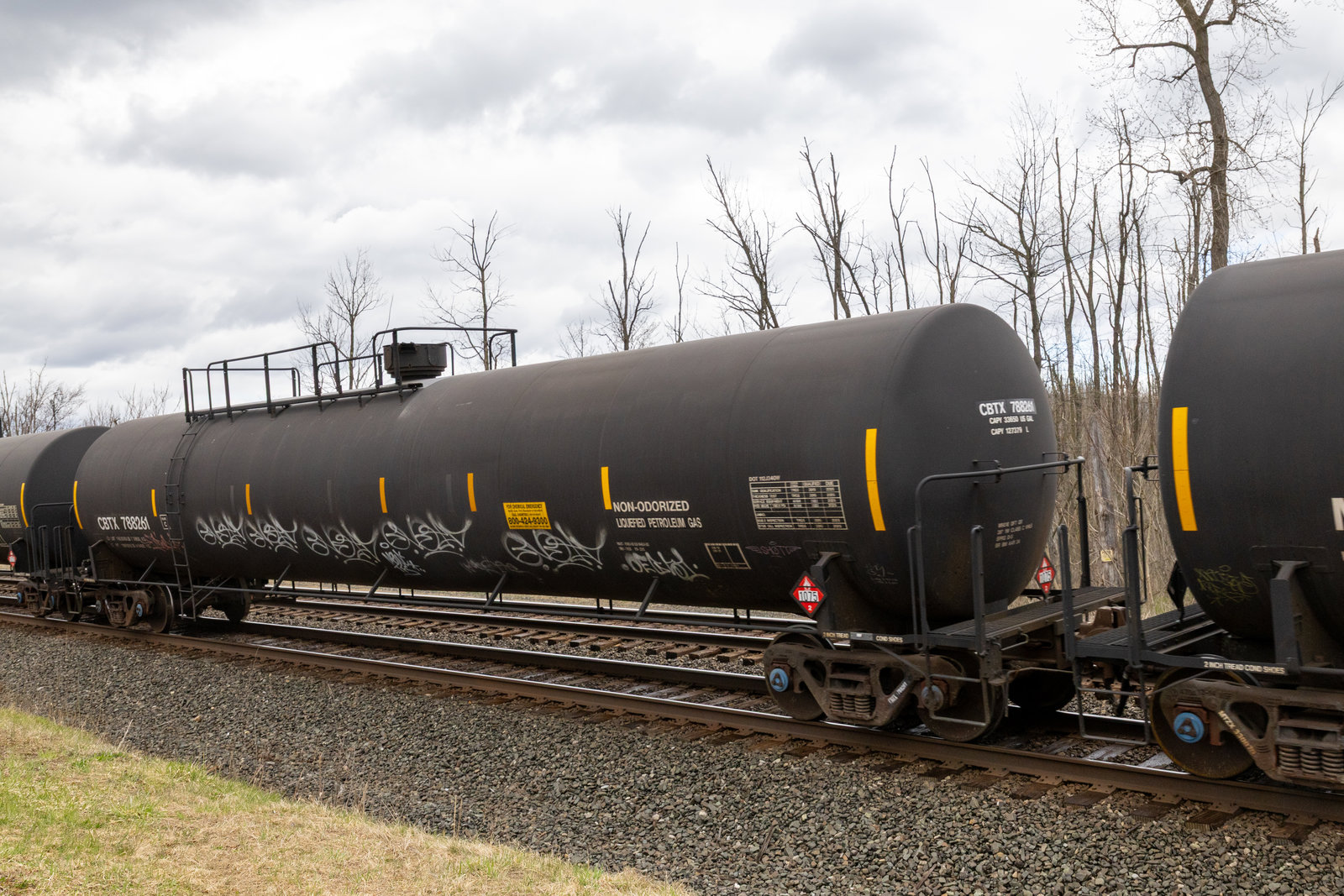CBTX 788261