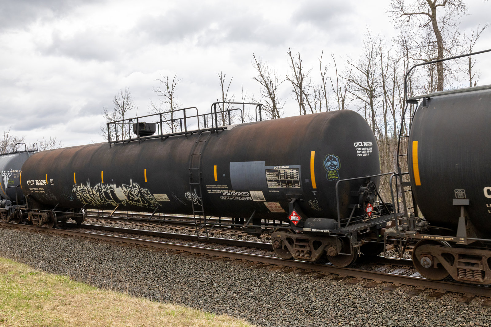 CTCX 780236