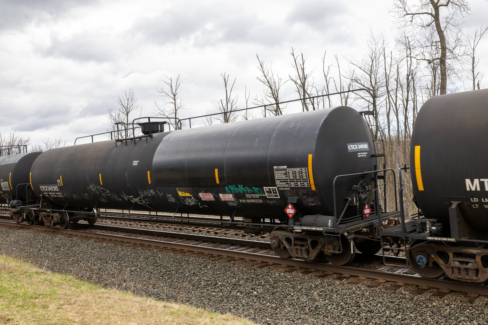 CTCX 340242