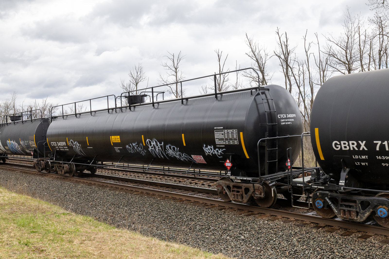 CTCX 340099