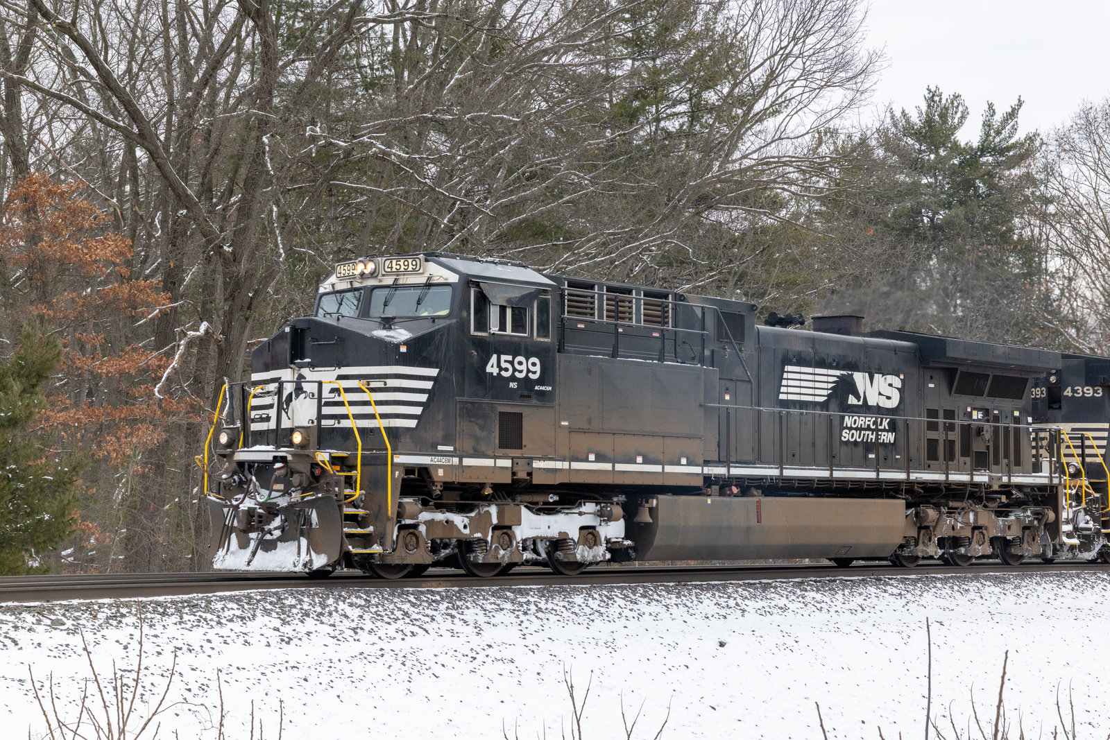 NS 4599