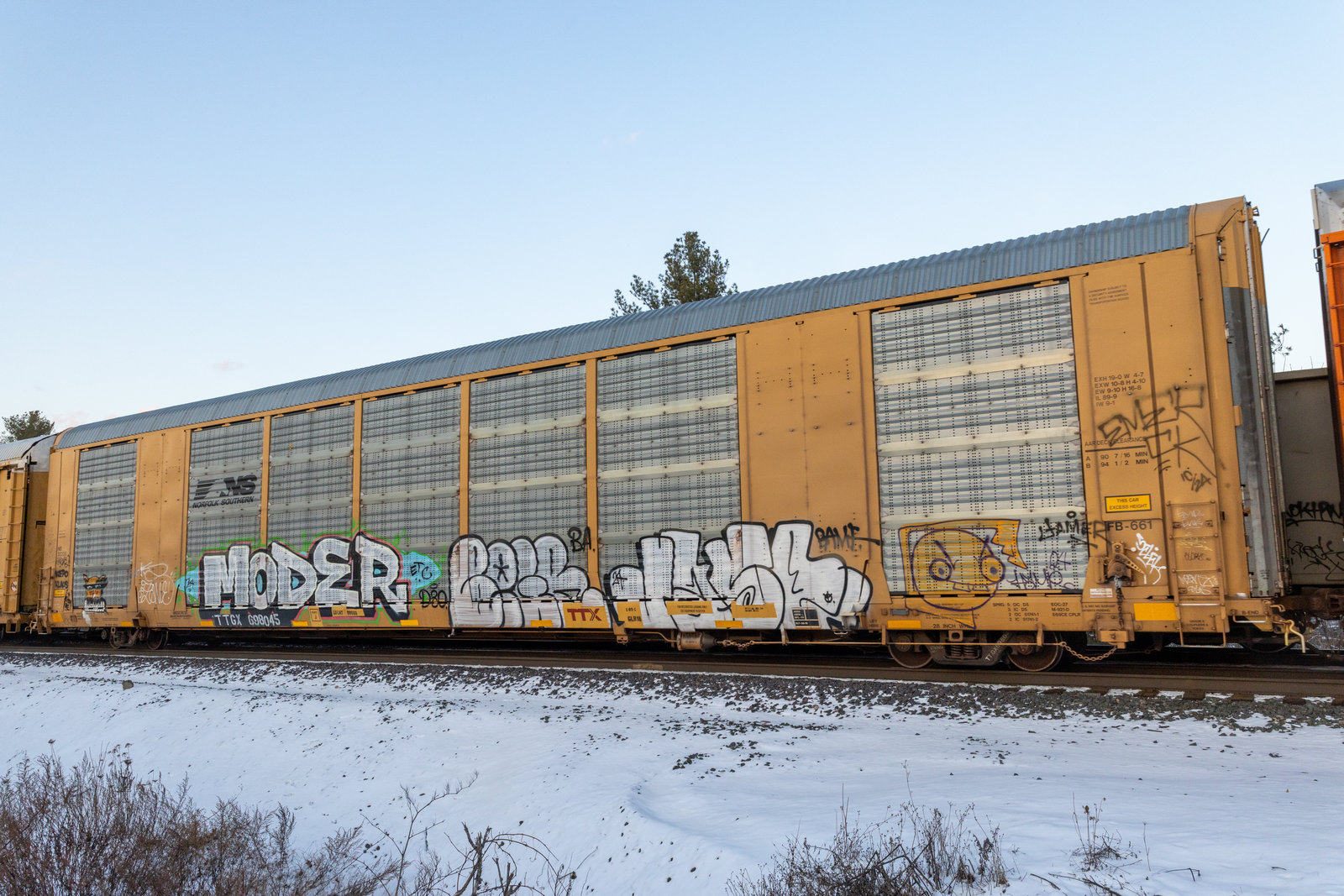 TTGX 698045