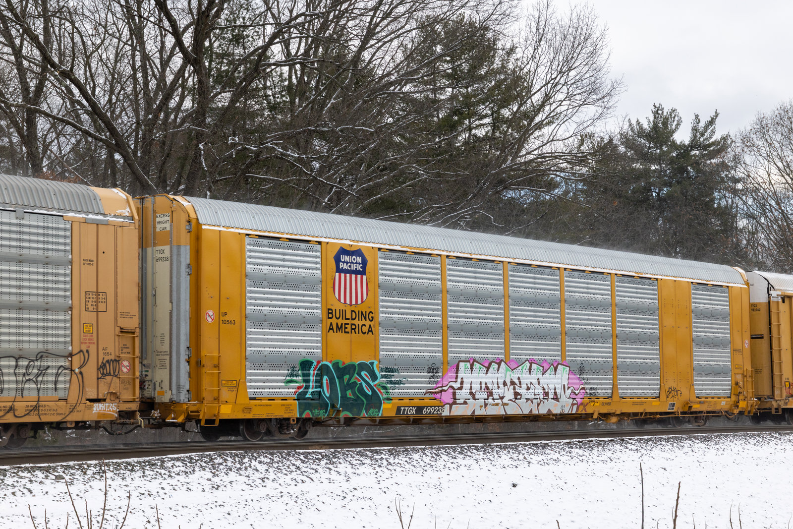 TTGX 699238