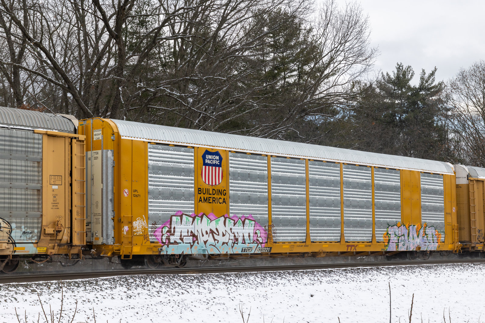 TTGX 823221