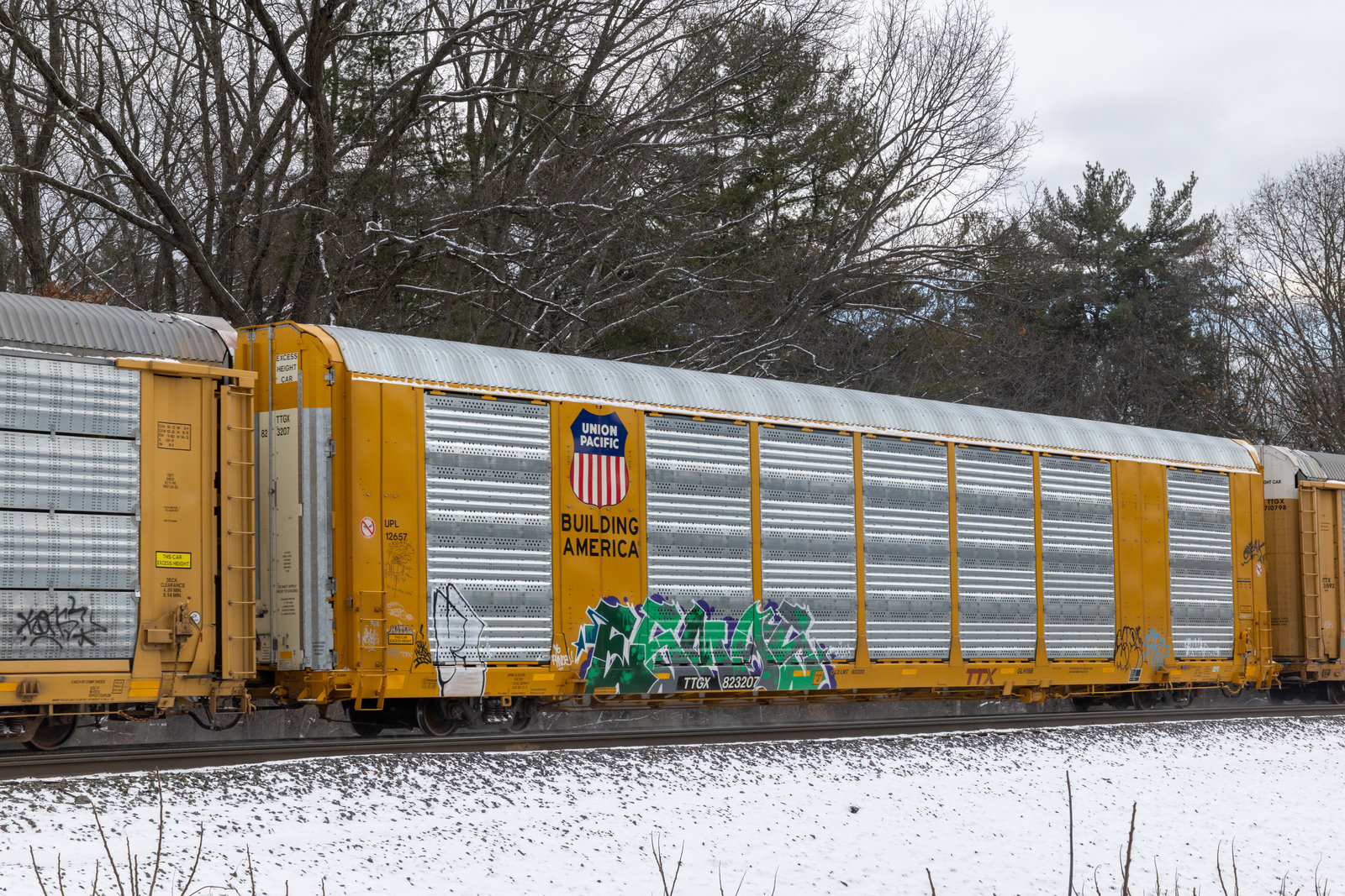 TTGX 823207
