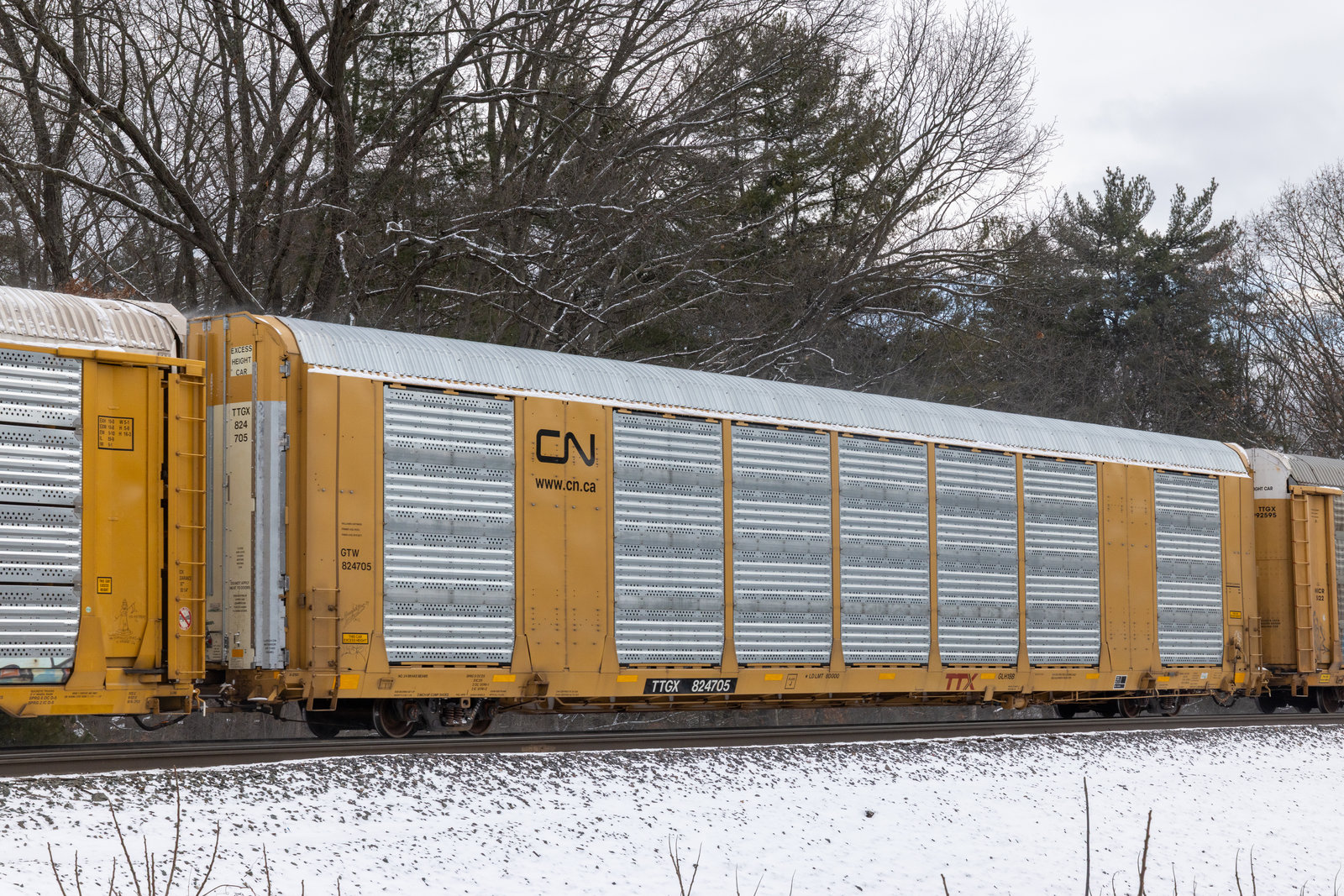 TTGX 824705