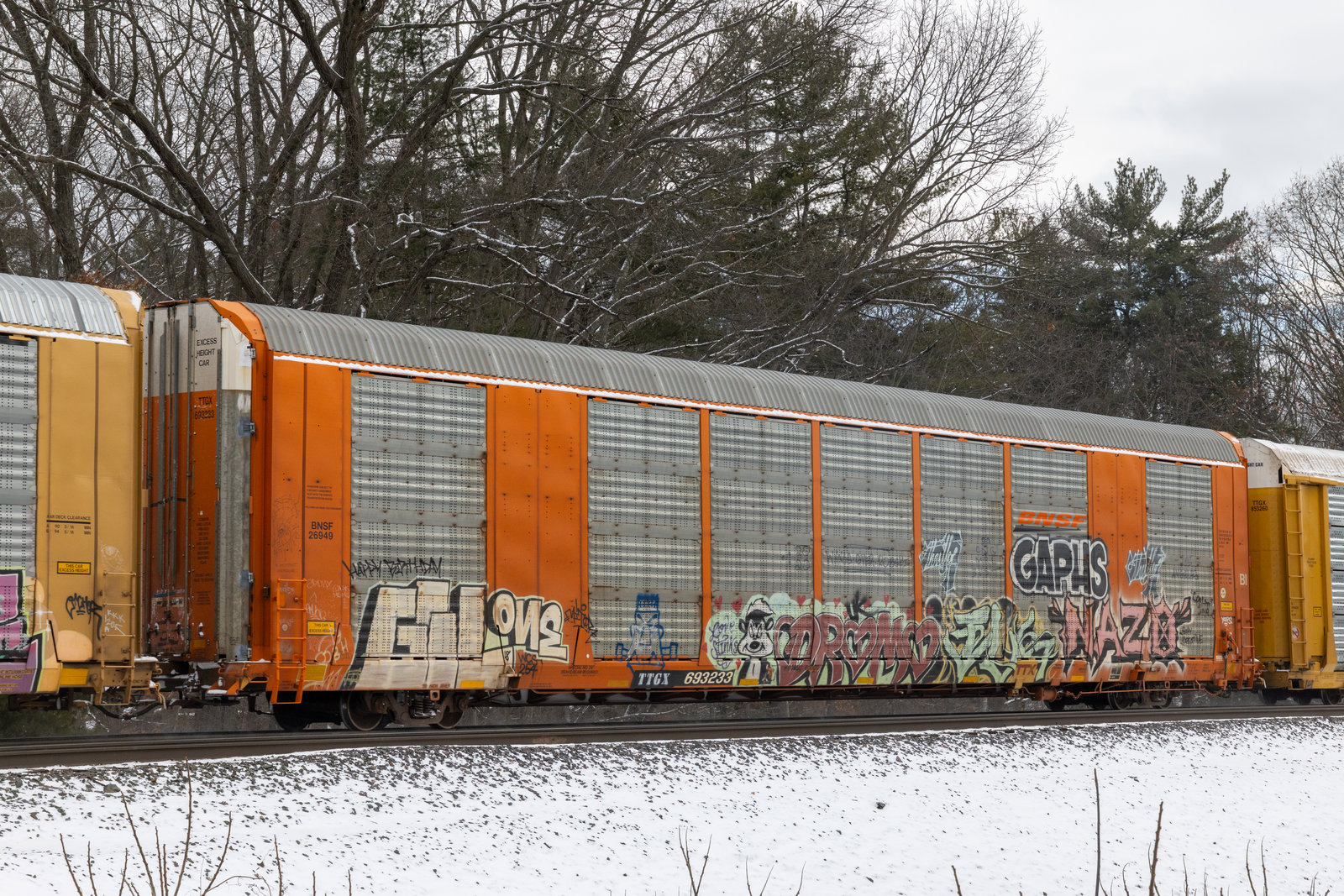 TTGX 693233