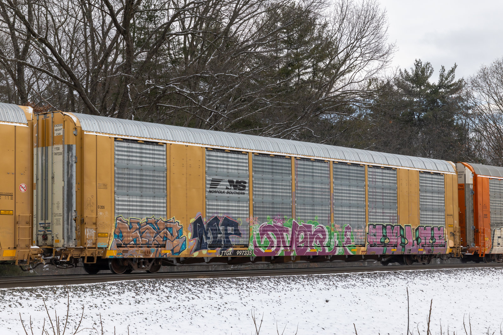 TTGX 997335